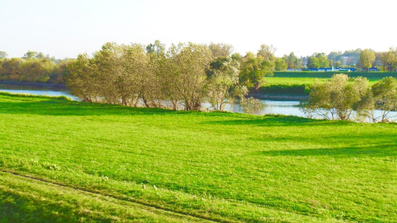 Borovje-river View